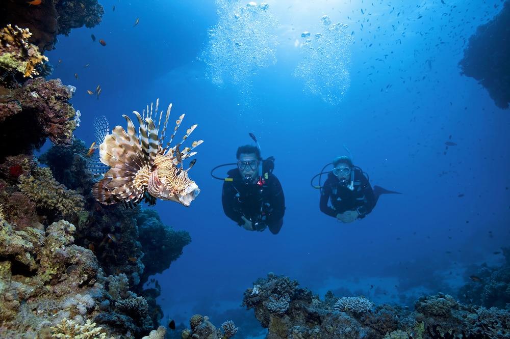 Turtle'S Inn Hotel Hurghada Ngoại thất bức ảnh
