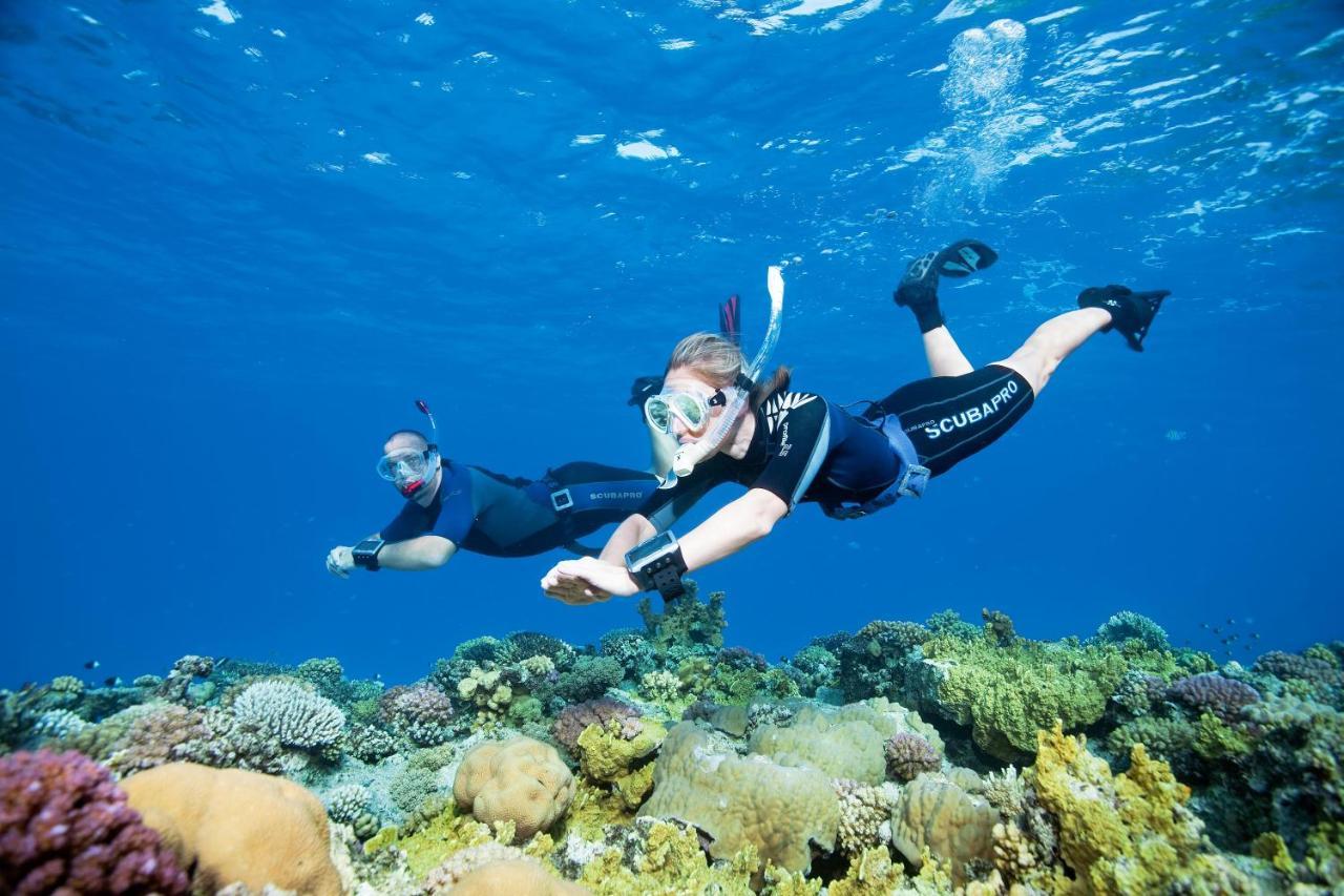 Turtle'S Inn Hotel Hurghada Ngoại thất bức ảnh